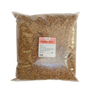 Sosna - pędy suszone - 1000g (1kg) [V]