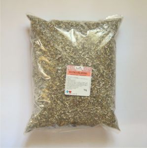 Płucnica islandzka - ziele - 1000g (1kg) [V]