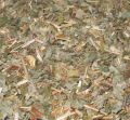 epimedium_skornice1.jpg