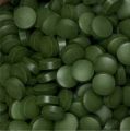 chlorella_tabletk11i.jpg