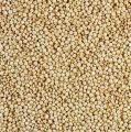 quinoa_biala_nasiona.jpg