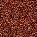 quinoa_czerwona_nasiona.jpg