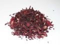hibiskus-kwiat.jpg