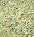 trawa_cytrynowa2.jpg