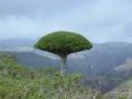 imagesCAZPWZS3.jpg